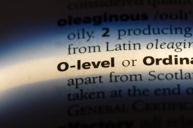 o düzey Word'de bir sözlük. o düzey kavramı.