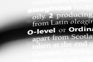 o düzey Word'de bir sözlük. o düzey kavramı.