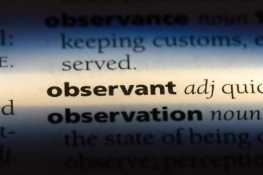 bir sözlüğü'ndeki gözlemci sözcüğü. gözlemci kavramı.