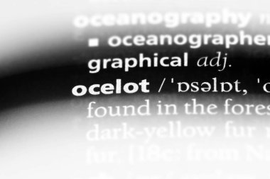 bir sözlüğü'ndeki kedi sözcüğü. Ocelot kavramı.