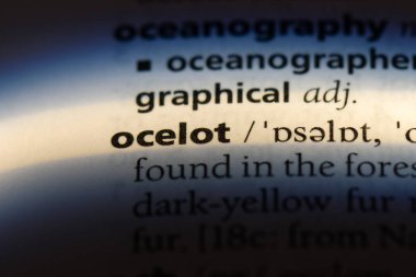 bir sözlüğü'ndeki kedi sözcüğü. Ocelot kavramı.