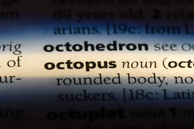 Ahtapot Word'de bir sözlük. Ahtapot kavramı.