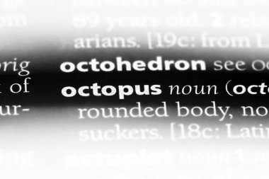 Ahtapot Word'de bir sözlük. Ahtapot kavramı.