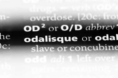 odalık Word'de bir sözlük. odalık kavramı.