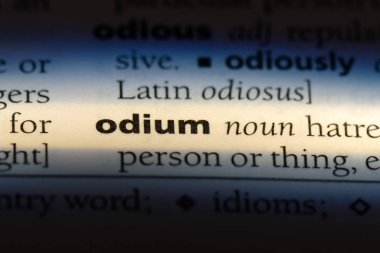 kısacık bir sözlük tek kelimeyle. kısacık kavramı.