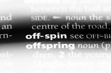 spin tek kelimeyle bir sözlük. spin kavramı.