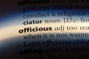 bir sözlüğü'ndeki işgüzar sözcüğü. işgüzar kavramı.