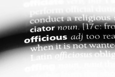 bir sözlüğü'ndeki işgüzar sözcüğü. işgüzar kavramı.