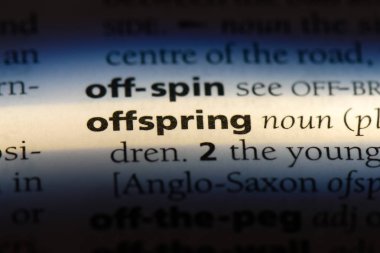 çoluk çocuk Word'de bir sözlük. çoluk çocuk kavramı.