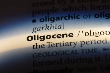 bir sözlüğü'ndeki Oligosen sözcüğü. Oligosen kavramı.