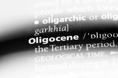bir sözlüğü'ndeki Oligosen sözcüğü. Oligosen kavramı.