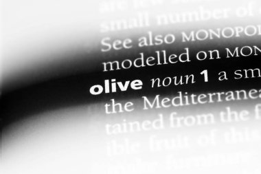 Zeytin tek kelimeyle bir sözlük. Zeytin kavramı.