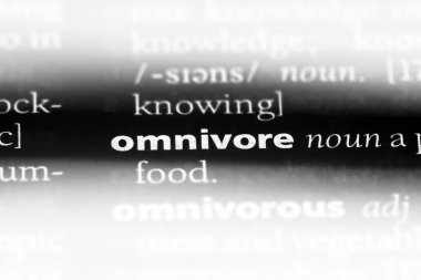 Hepçil Word'de bir sözlük. Hepçil kavramı.