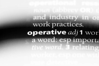 Sözlükteki anahtar kelime. operatif kavramı.