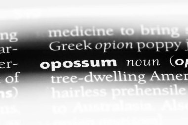 Keseli sıçan Word'de bir sözlük. Keseli sıçan kavramı.