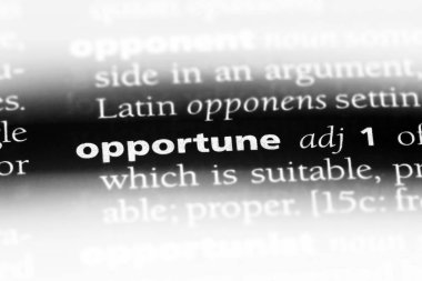 elverişli tek kelimeyle bir sözlük. elverişli kavramı.