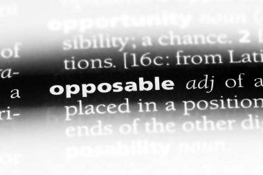 bir sözlüğü'ndeki Opposable sözcüğü. Opposable kavramı.