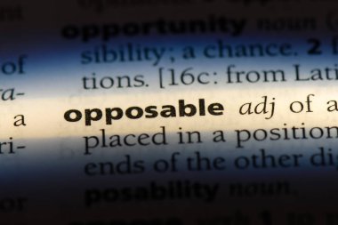 bir sözlüğü'ndeki Opposable sözcüğü. Opposable kavramı.