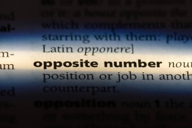 bir sözlüğü'ndeki ters sayı sözcüğü. tam tersi sayı kavramı.