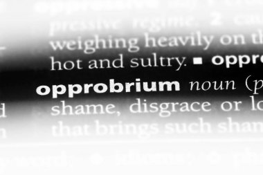 bir sözlüğü'ndeki rezalet sözcüğü. Rezalet konsepti.