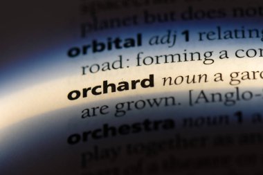 Orchard Word'de bir sözlük. meyve bahçesi kavramı.