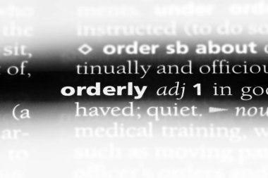 düzenli tek kelimeyle bir sözlük. düzenli kavramı.