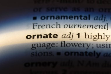 süslü kelime sözlüğe. süslü kavramı.