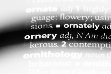 -huysuz tek kelimeyle bir sözlük. -huysuz kavramı.