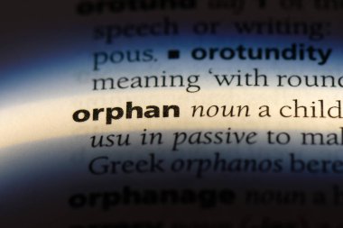 bir sözlüğü'ndeki yetim sözcüğü. yetim kavramı.