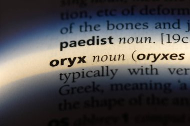 Oryx Word'de bir sözlük. Oryx kavramı.