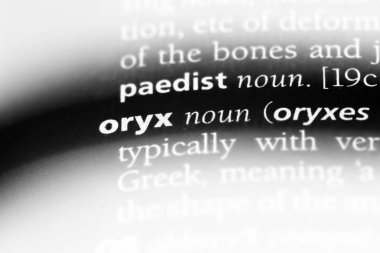 Oryx Word'de bir sözlük. Oryx kavramı.