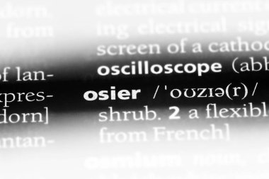 Hasır Word'de bir sözlük. Hasır kavramı.