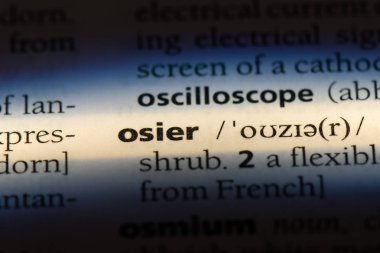 Hasır Word'de bir sözlük. Hasır kavramı.