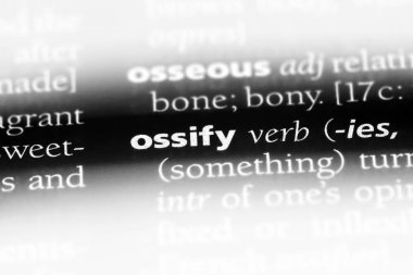 bir sözlüğü'ndeki sözcüğü fiilini. kavram fiilini.