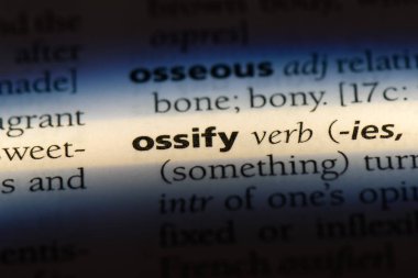 bir sözlüğü'ndeki sözcüğü fiilini. kavram fiilini.