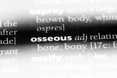 kemik tek kelimeyle bir sözlük. kemik kavramı.