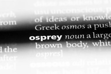 Osprey Word'de bir sözlük. Osprey kavramı.