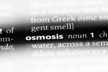ozmoz Word'de bir sözlük. ozmoz kavramı.