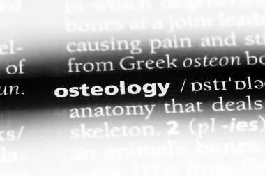 Kemikbilim Word'de bir sözlük. Kemikbilim kavramı.