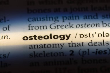 Kemikbilim Word'de bir sözlük. Kemikbilim kavramı.