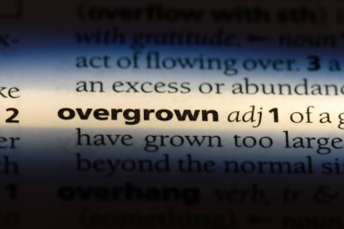 aşırı büyümüş tek kelimeyle bir sözlük. aşırı büyümüş kavramı.
