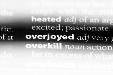 çok memnun tek kelimeyle bir sözlük. çok memnun kavramı.