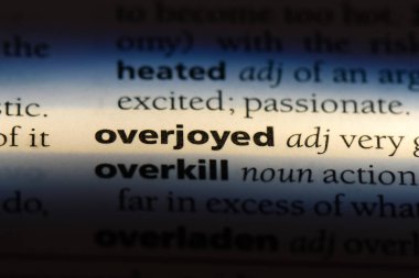 çok memnun tek kelimeyle bir sözlük. çok memnun kavramı.