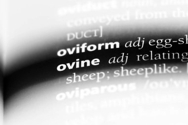 ovine tek kelimeyle bir sözlük. ovine kavramı.