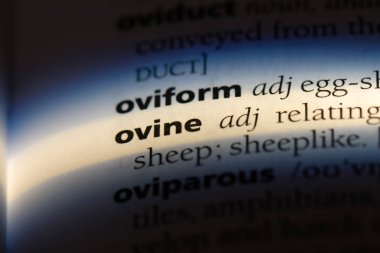 ovine tek kelimeyle bir sözlük. ovine kavramı.