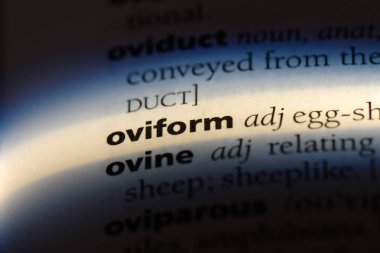 oviform tek kelimeyle bir sözlük. oviform kavramı.