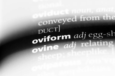 oviform tek kelimeyle bir sözlük. oviform kavramı.