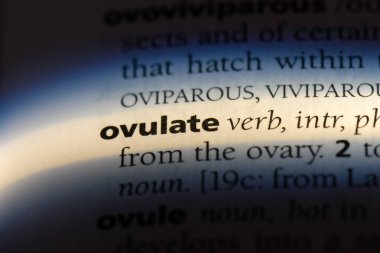 bir sözlüğü'ndeki sözcüğü yumurtlamak. kavram yumurtlamak.