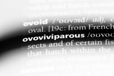 ovoviviparous tek kelimeyle bir sözlük. ovoviviparous kavramı.