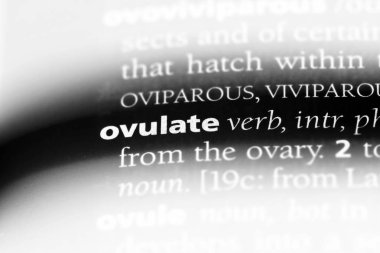 bir sözlüğü'ndeki sözcüğü yumurtlamak. kavram yumurtlamak.